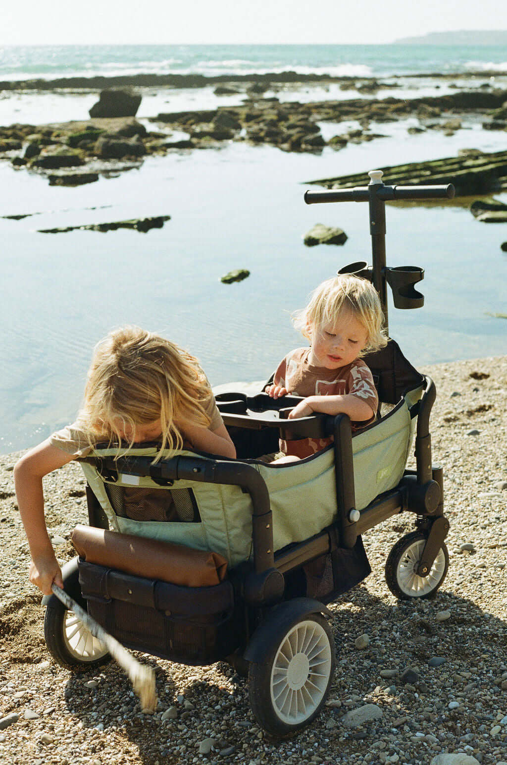 Joey Stroller Wagon - Spring Fern
