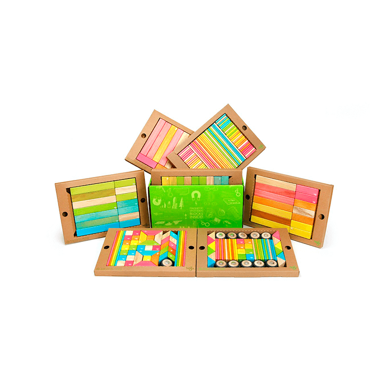 Tegu Magnetic Wooden Blocks 240 Pieces