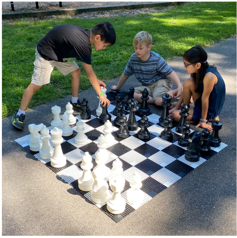 Rolly Small Game Board
