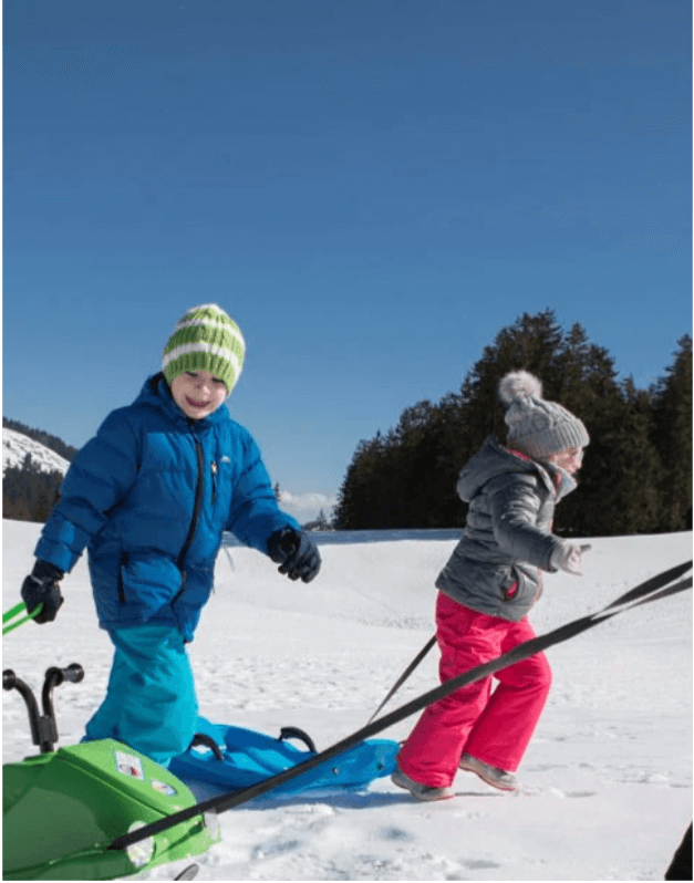 KHW Snow Bird De Luxe Sled