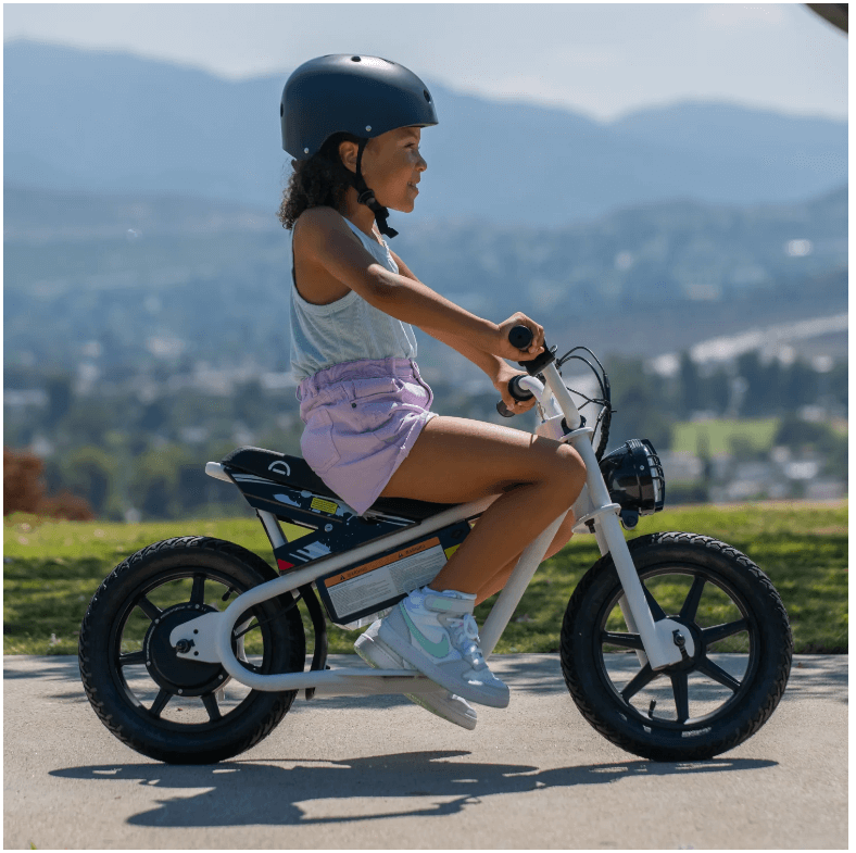 Droyd Weeler Electric Bike