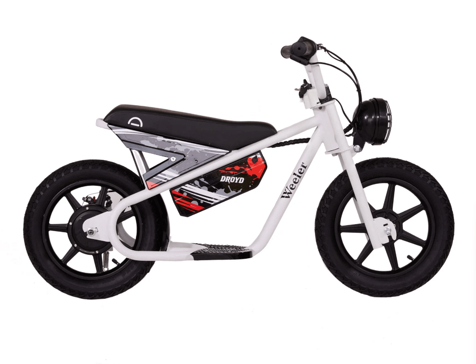 Droyd Weeler Electric Bike
