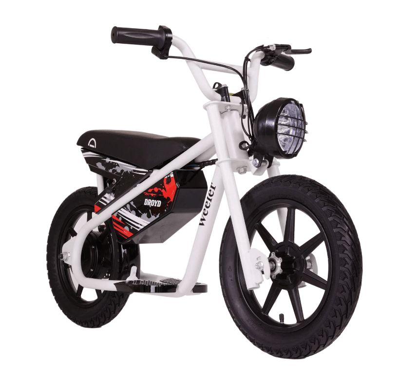 Droyd Weeler Electric Bike