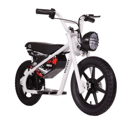 Droyd Electric Weeler Bike