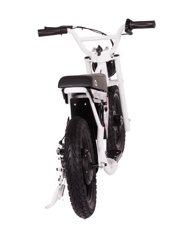 Droyd Weeler Electric Bike