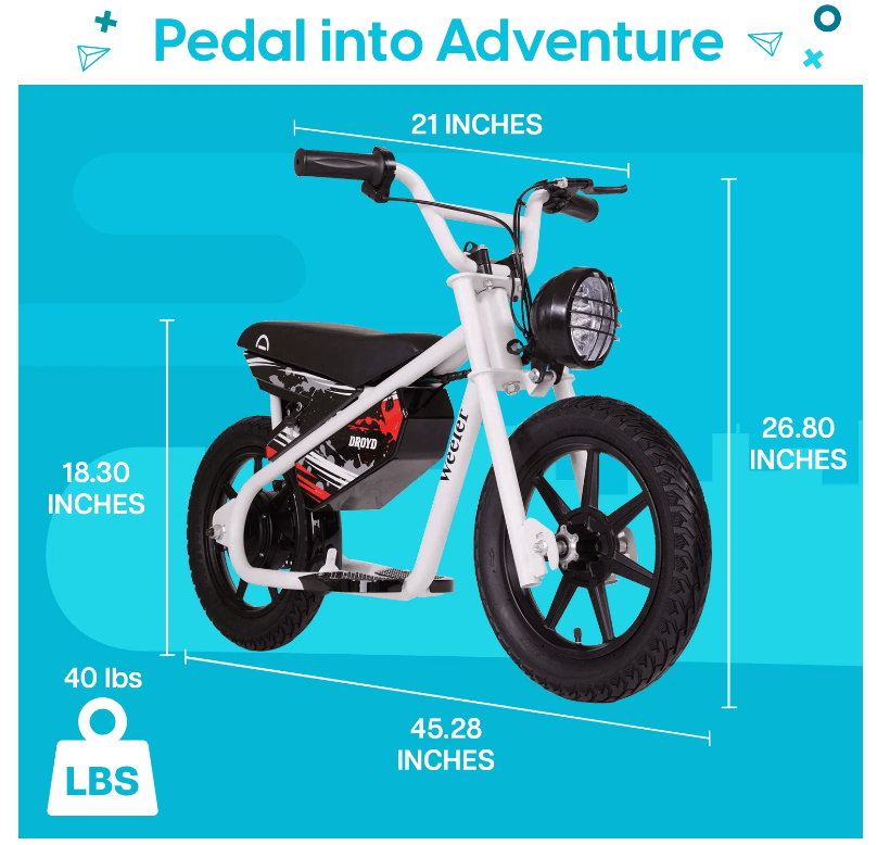 Droyd Weeler Electric Bike