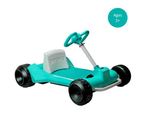 Droyd Electric Zypster Go Kart