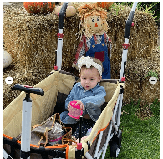 Creative Wagons Pack & Push Compact Stroller Wagon