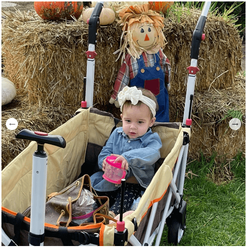 Creative Wagons Pack & Push Compact Stroller Wagon