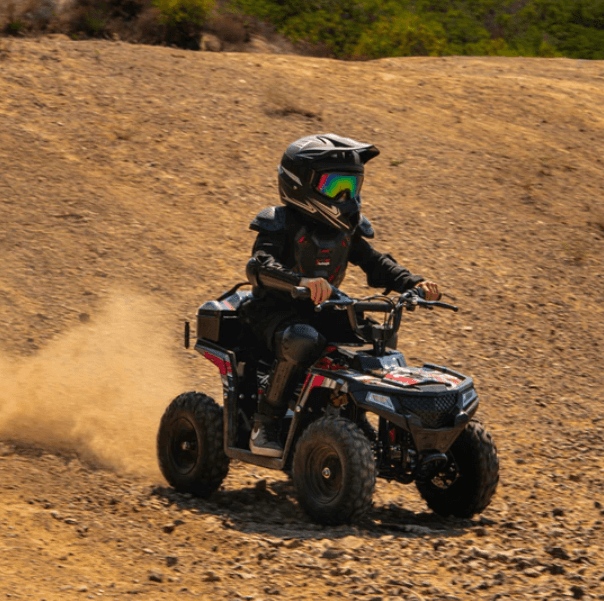 Droyd Animal Electric ATV