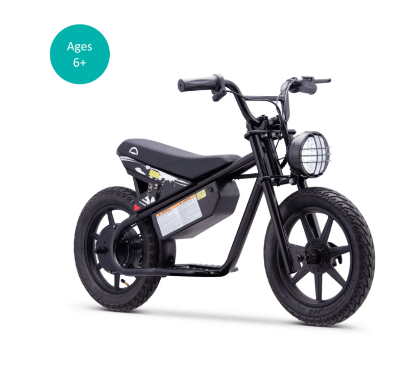Droyd Weeler Electric Bike