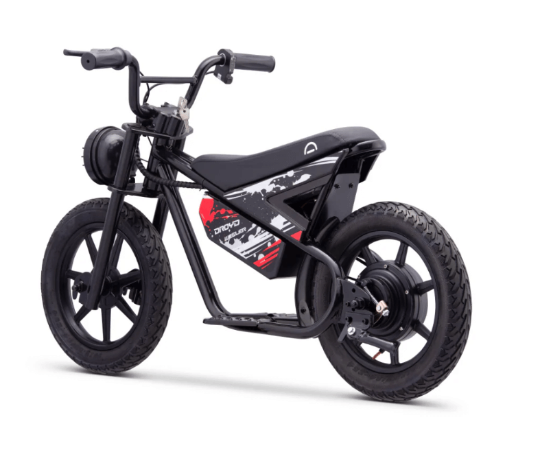 Droyd Weeler Electric Bike