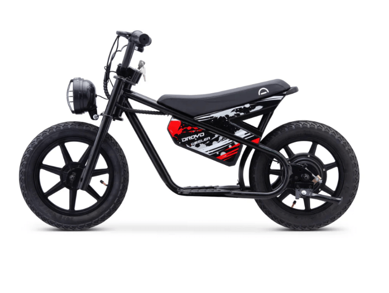 Droyd Weeler Electric Bike