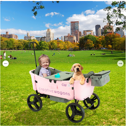 Creative Wagons Buggy Wagon