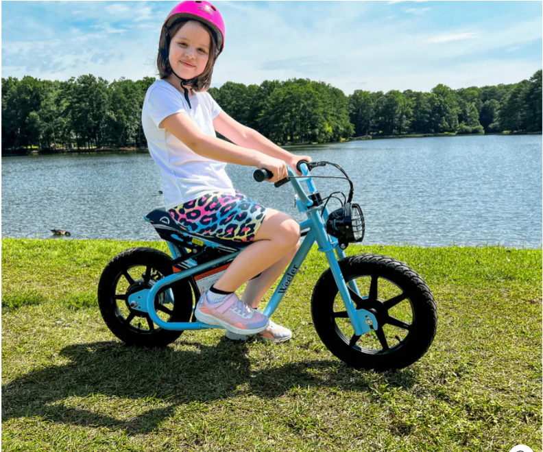 Droyd Weeler Electric Bike