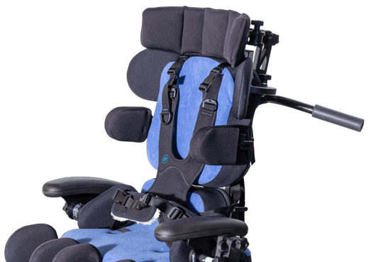 Smirthwaite Asiento Chair