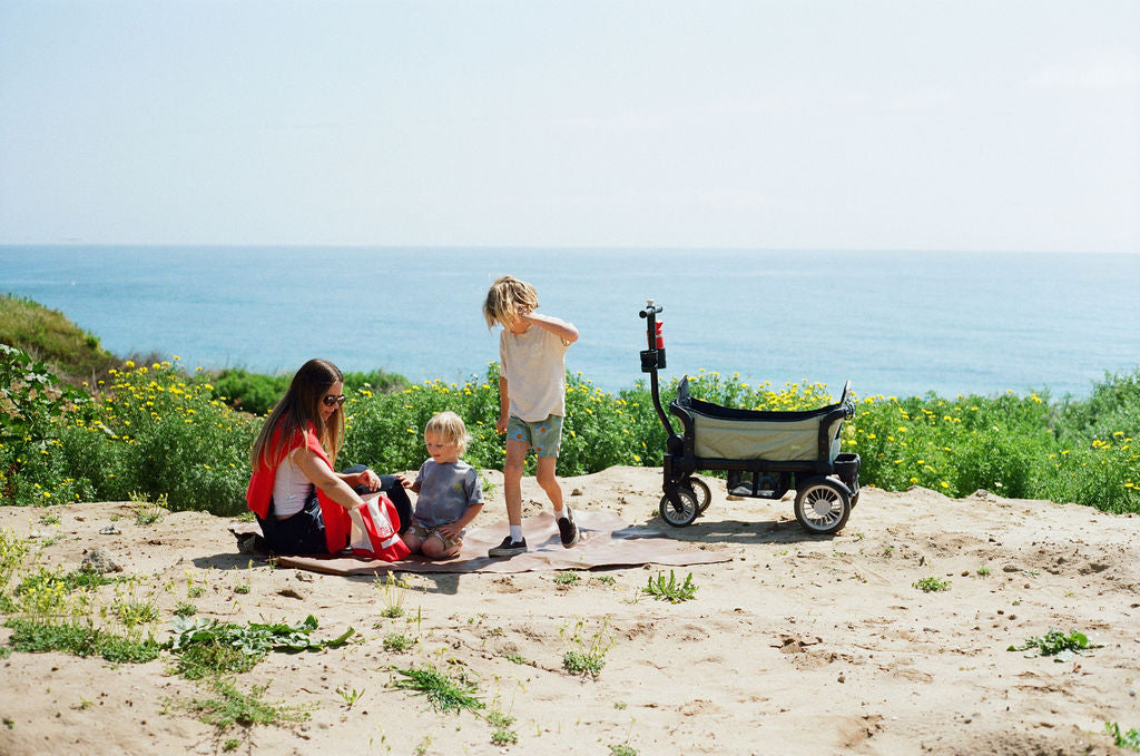 Joey Stroller Wagon Spring Fern 2 Canopy Bundle