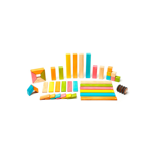 Tegu Magnetic Wooden Blocks 42 Pieces