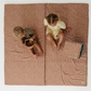 Toki Kids Terrazzo Clay Organic Cotton Mat