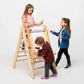 Goodevas 5 in 1 Montessori Climbing Set