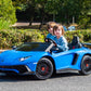 Freddo Toys Lamborghini Aventador