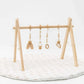 Poppyseed Play Gym Set