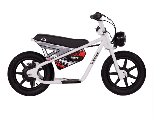 Droyd Electric Weeler Bike