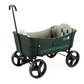 Creative Wagons Buggy Wagon
