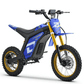 Droyd Berzerker Electric Dirt Bike