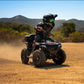 Droyd Animal Electric ATV
