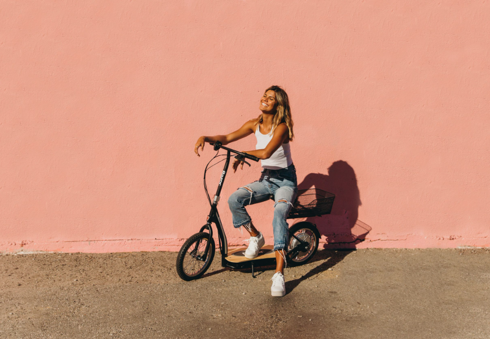 Razor EcoSmart Metro HD Electric Bike