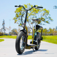 Razor EcoSmart Cargo Electric Bike