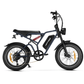HappyRun G60 Pro Moped-Style Off-Road Electric Bike