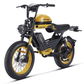 Happyrun G100 Pro 6000W Electric Bike