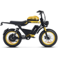 Happyrun G100 Pro 6000W Electric Bike