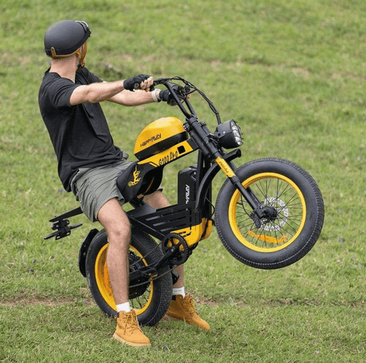 Happyrun G100 Pro 6000W Electric Bike
