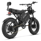 Happyrun G70 Pro Dual-Motor Electric Cargo Bike