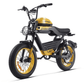 HappyRun G100 2000W Electric Bike