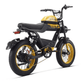 HappyRun G100 2000W Electric Bike