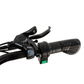 HappyRun G100 2000W Electric Bike