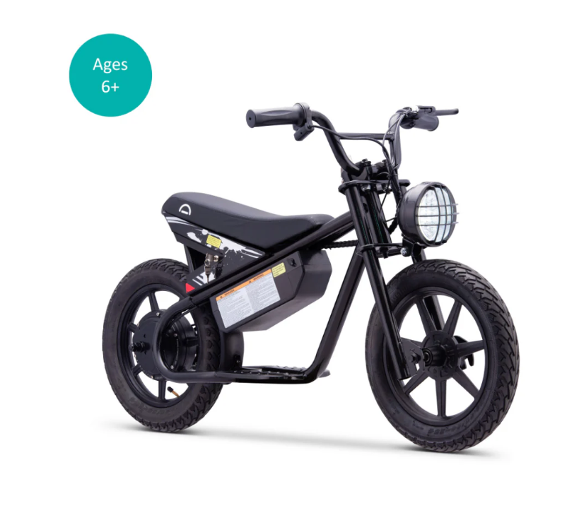 DROYD Weeler Electric Bike