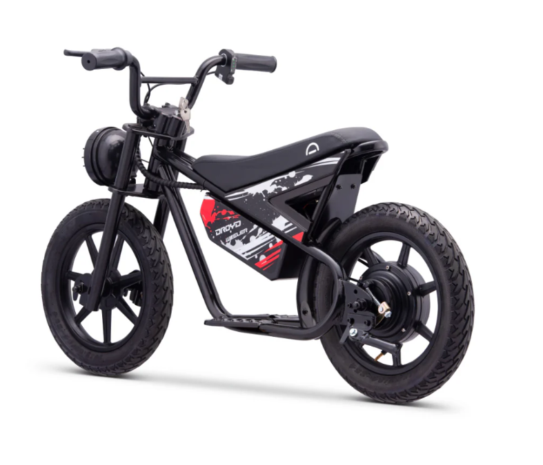 DROYD Weeler Electric Bike