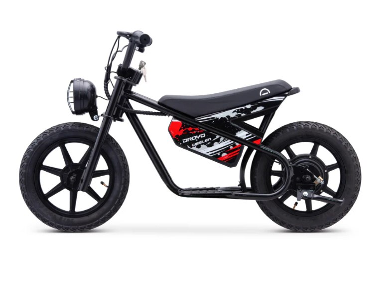 DROYD Weeler Electric Bike