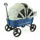 Creative Wagons Buggy Wagon