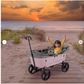 Creative Wagons Buggy Wagon