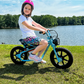 Droyd Weeler Electric Bike