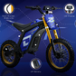 Droyd Berzerker Electric Dirt Bike