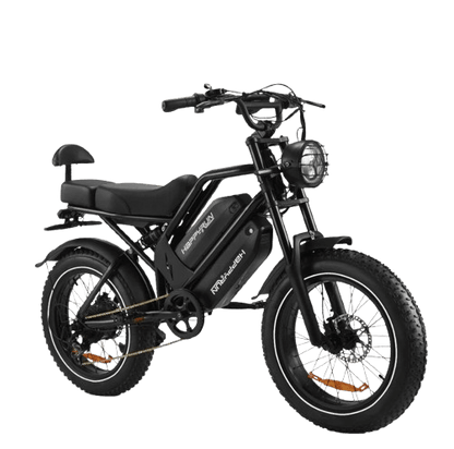 HappyRun G70 2000W Electric Cargo Bike