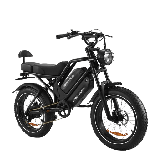 HappyRun G70 2000W Electric Cargo Bike