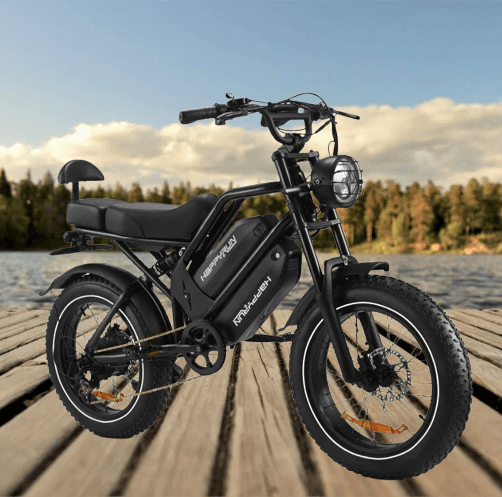 HappyRun G70 2000W Electric Cargo Bike